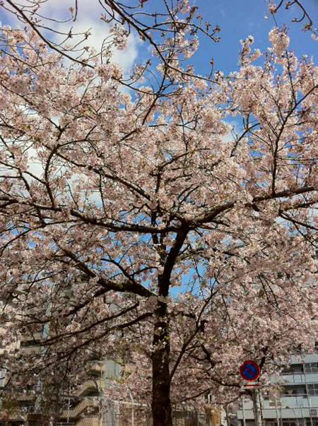 写真１